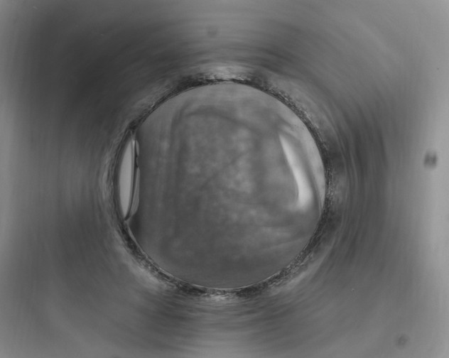 X0000097670402200803211947