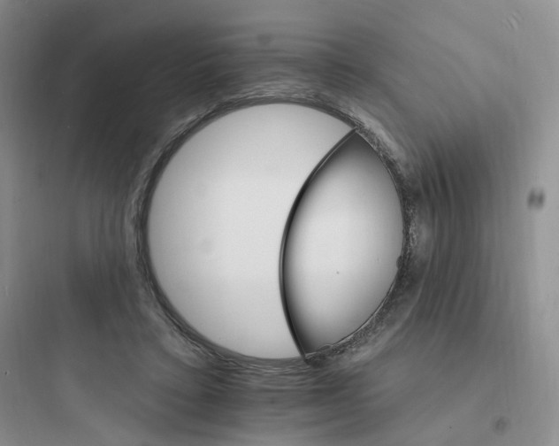 X0000097670403200803211947