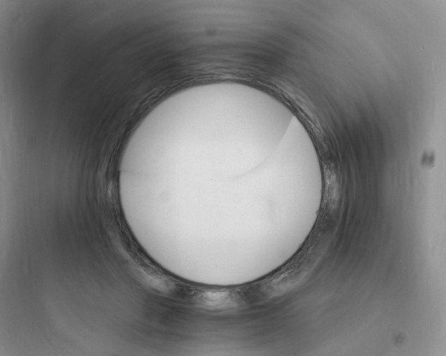 X0000097670406200803211947