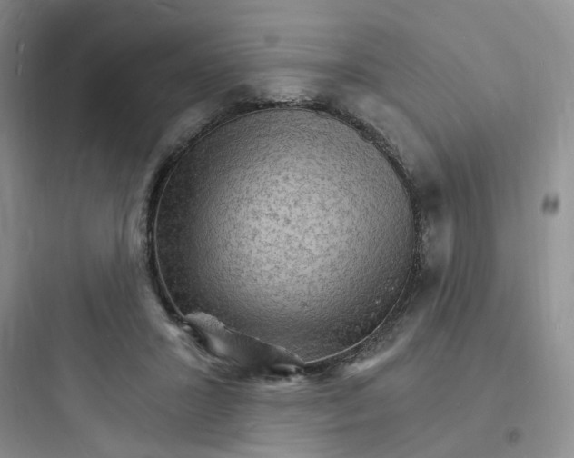 X0000097670407200803211947