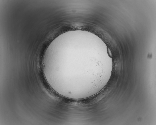 X0000097670408200803211947