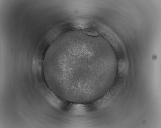 X0000097670409200803211947