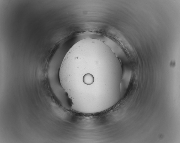 X0000097670411200803211947