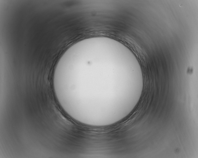 X0000097670414200803211947