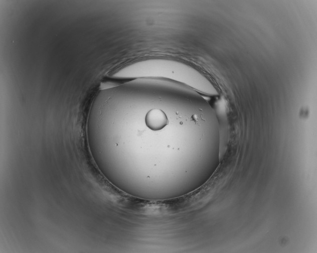 X0000097670415200803211947