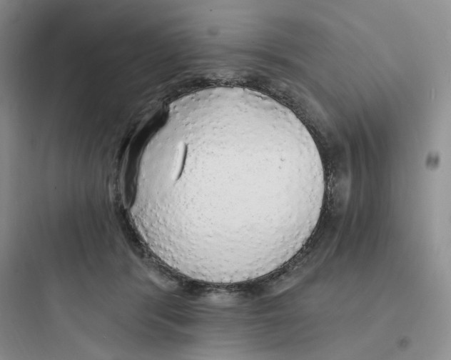 X0000097670416200803211947