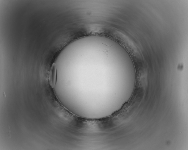 X0000097670417200803211947