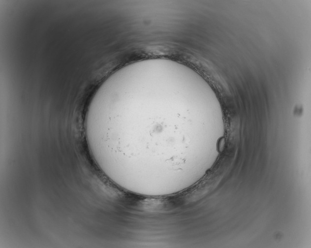 X0000097670418200803211947