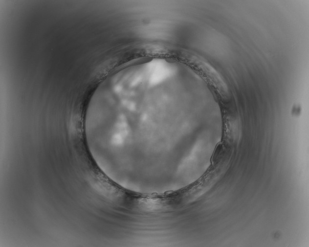 X0000097670419200803211947