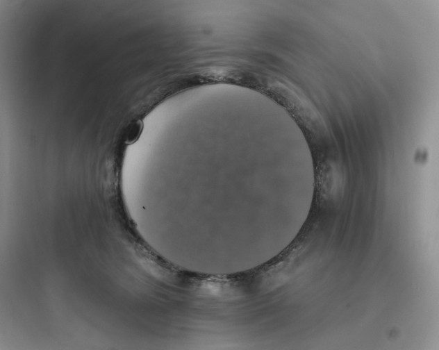 X0000097670420200803211947