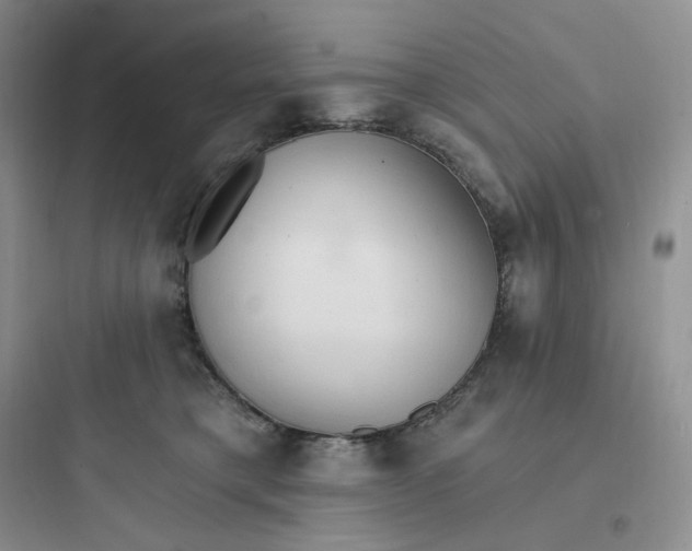 X0000097670421200803211947