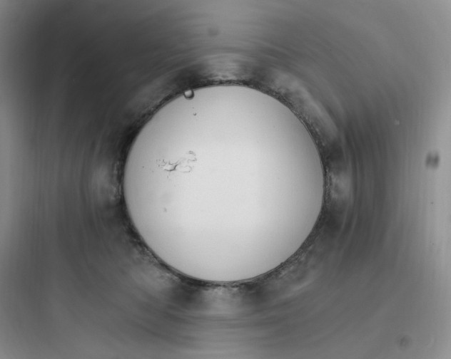 X0000097670422200803211947