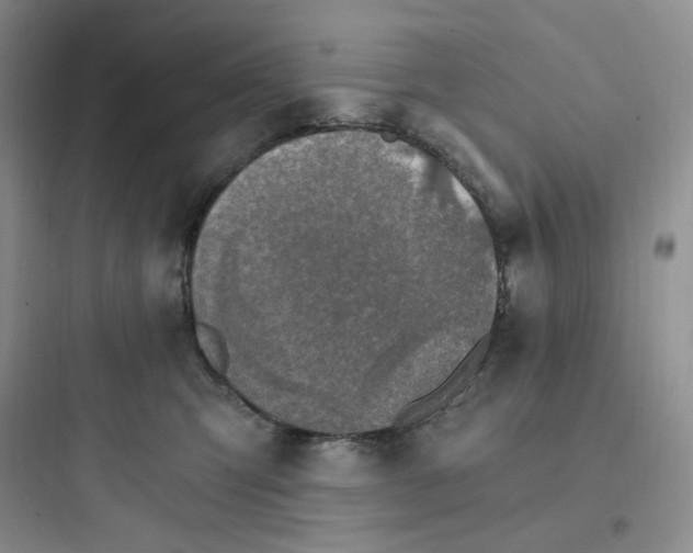 X0000097670423200803211947