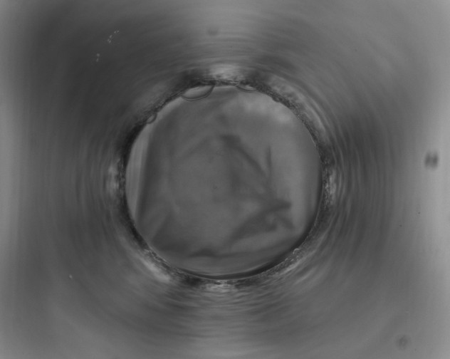 X0000097670424200803211947