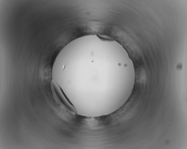 X0000097670425200803211947