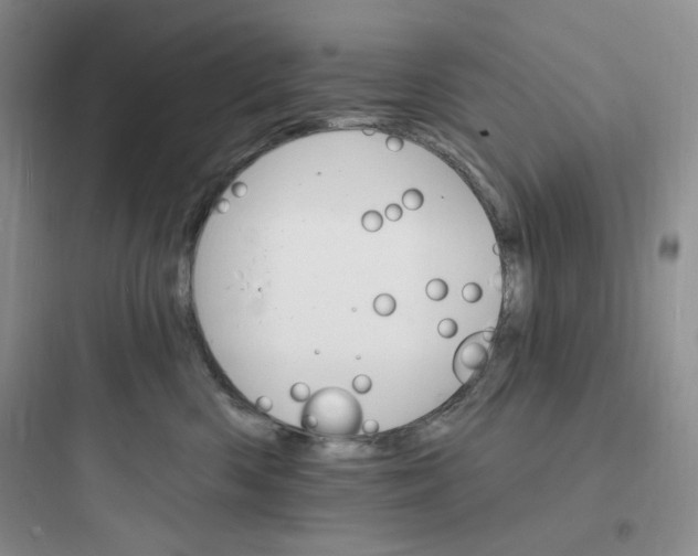 X0000097670426200803211947