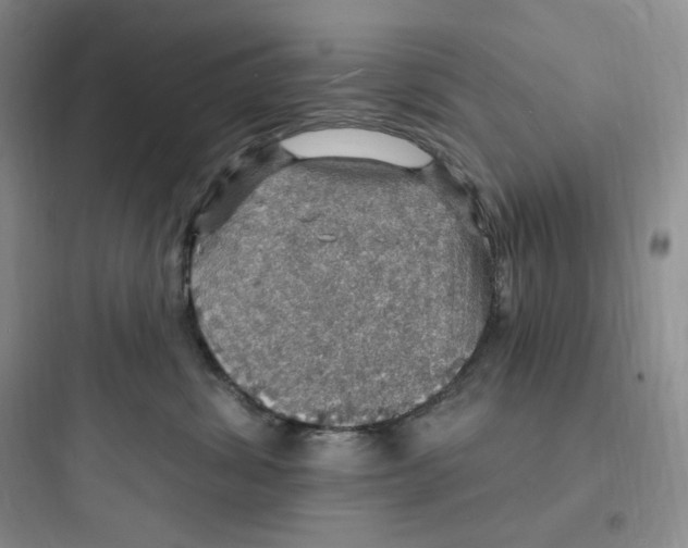 X0000097670428200803211947