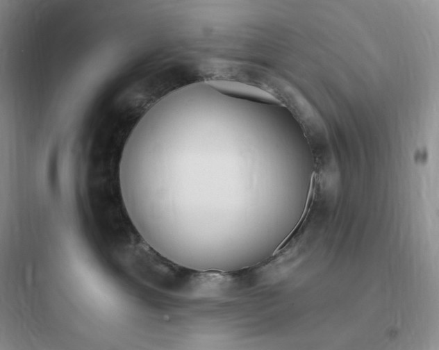 X0000097670429200803211947