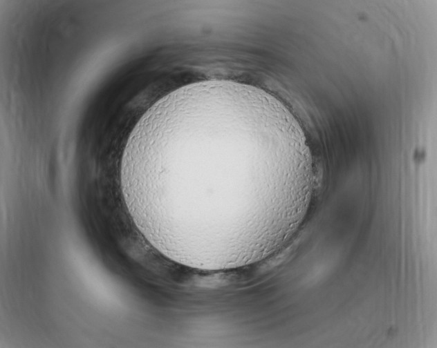 X0000097670430200803211947