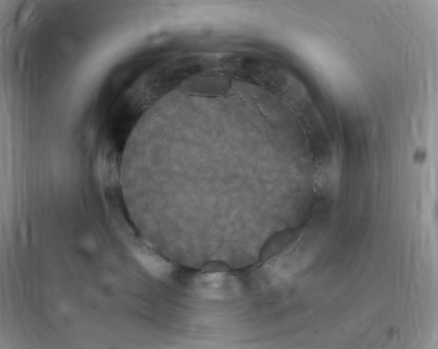 X0000097670431200803211947