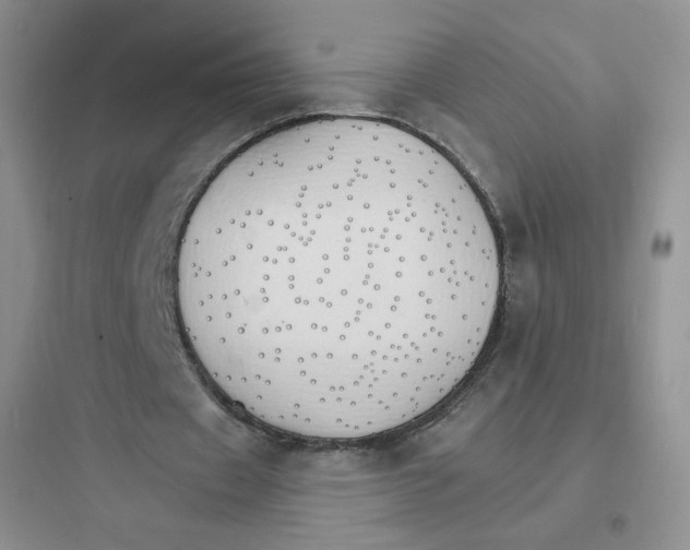 X0000097670433200803211946