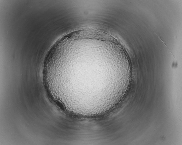 X0000097670434200803211946