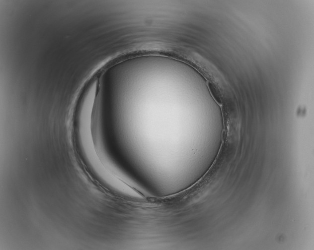 X0000097670436200803211946