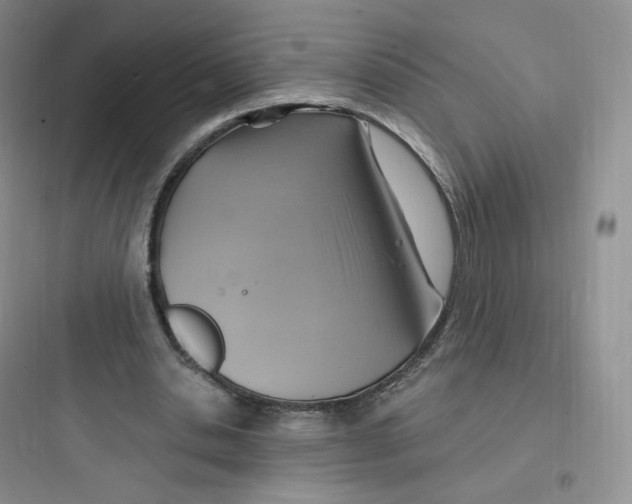 X0000097670438200803211946