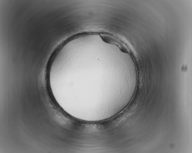 X0000097670439200803211946