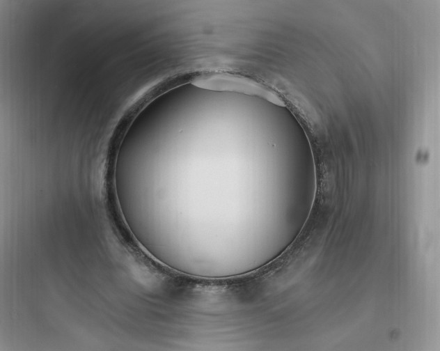 X0000097670440200803211946