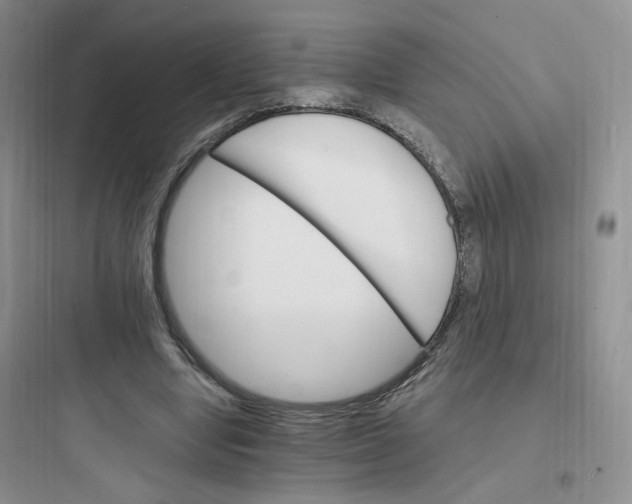 X0000097670442200803211946