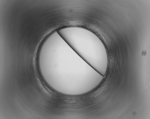 X0000097670443200803211946