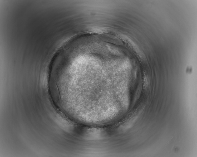 X0000097670444200803211946