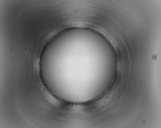 X0000097670445200803211946