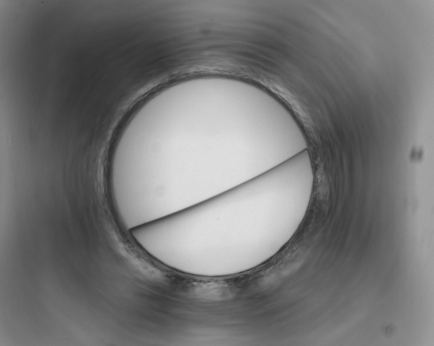 X0000097670446200803211946