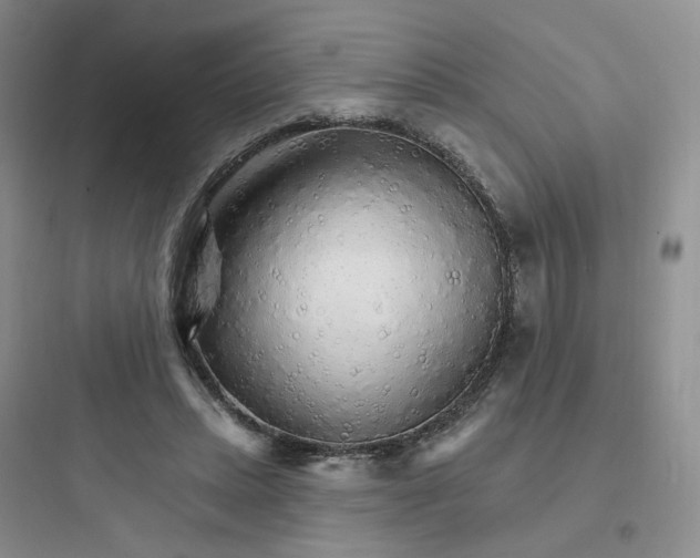 X0000097670447200803211946