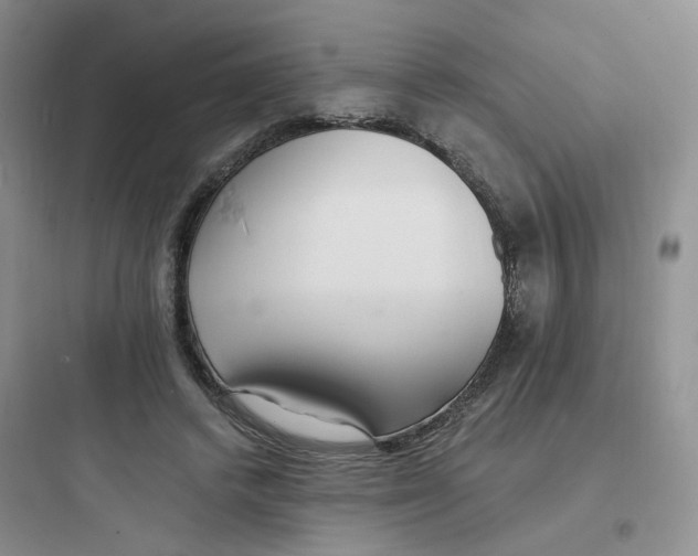 X0000097670448200803211946