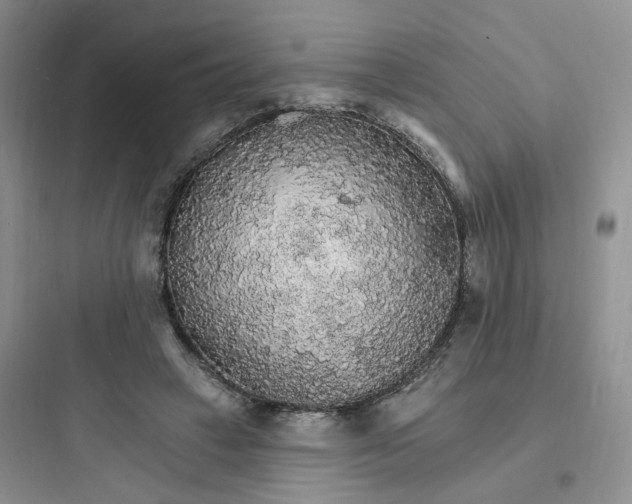 X0000097670449200803211946