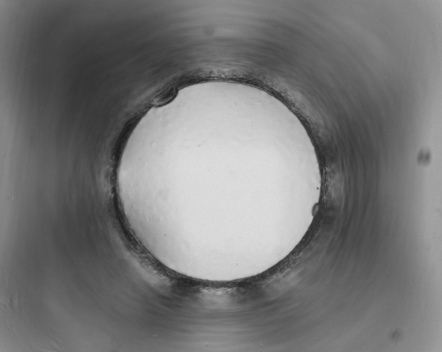 X0000097670450200803211946