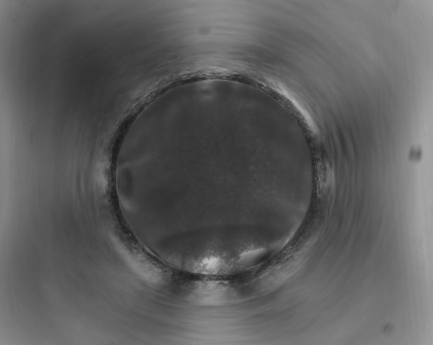 X0000097670451200803211946