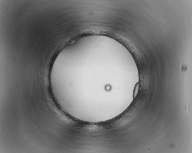 X0000097670453200803211946