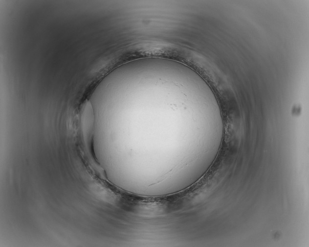 X0000097670454200803211946