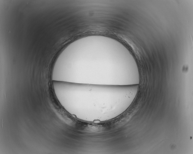 X0000097670455200803211946