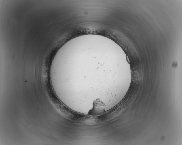 X0000097670456200803211946