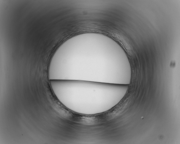 X0000097670457200803211946