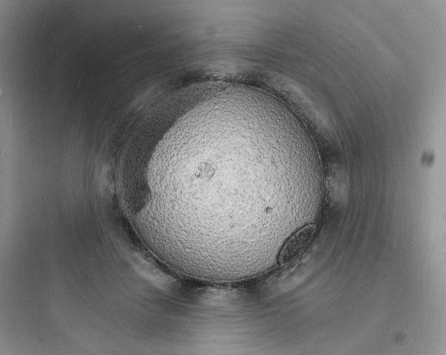 X0000097670458200803211946