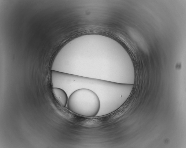 X0000097670459200803211946