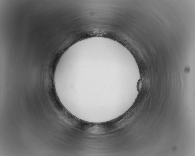 X0000097670460200803211946