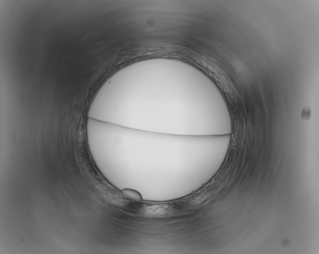 X0000097670461200803211946