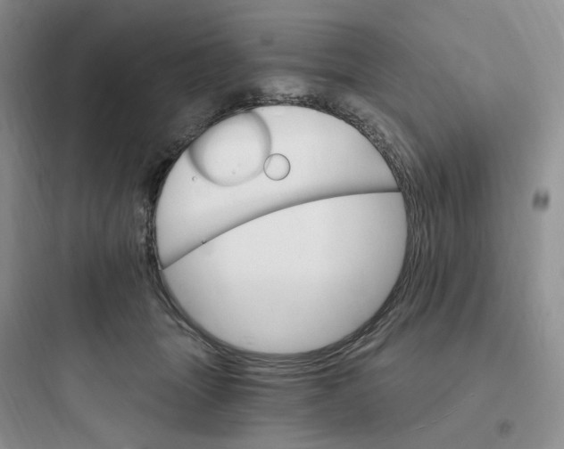 X0000097670463200803211946